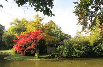 Japanisches Teehaus im Englischen Garten